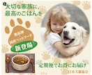 伝わるバナー・SNS画像を丁寧に制作ます 目を引くバナー・ヘッダー・SNS画像を丁寧に制作します イメージ2