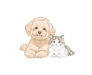 ペットちゃんイラストを作成します 水彩画の優しいタッチで大切なペットちゃんをイラストにします イメージ4