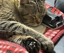 なんでもお話しききます 深夜にお話聞いてほしいな？ってときお使いください！ イメージ2
