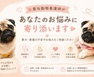 愛玩動物看護師が愛犬・愛猫のお悩みをお聞きします 不安整理をサポート☆エキゾチックアニマルも対応‪ イメージ1
