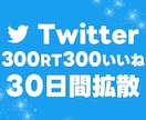 1か月毎日ツイート300RT300いいね拡散します Twitter（X）インプレッションUP！アクティブ日本人 イメージ1