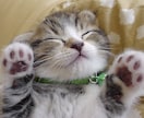あなたの話し相手になります なんだって大丈夫！とにかく誰かと話がしたい時に利用してね。 イメージ7