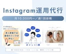 インスタグラム運用（1ヶ月）｜作成～投稿対応します Instagramの投稿運用を代行し、継続発信をサポート イメージ1