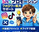 TikTokフォロワーを増やすためアドバイスします SNSを伸ばしたい方をサポートします。 イメージ1