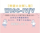 お試し版／WISC検査を簡易的に解説いたします 実績500件超の専門家が発達検査の結果を丁寧に読み解き説明！ イメージ1