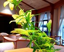 現役男子高校生が恋愛相談会をします 顔見知りの男子に聞くの少しはずかしい事等を僕に聞いて下さい！ イメージ1