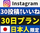 インスタ日本人いいね【月額】毎月まとめて増やします 日本人いいね｜弊社独自月額プラン｜連絡不要で自動対応 イメージ1