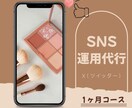X（Twitter）『1ヶ月』運用代行いたします 【完全手動】忙しいお客様に代わって運用いたします！ イメージ1