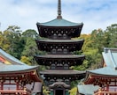 お寺の娘が人生相談受けます あなたの悩み、聞かせてください イメージ1