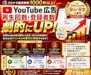 YouTube広告運用｜再生回数・登録者増やします 【伸びない原因を特定】YouTubeを本気で伸ばします イメージ1