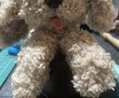 写真から羊毛フェルト犬を制作します 練習価格でお作りします（モニター） イメージ2