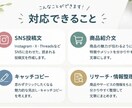 SNS・商品紹介などの文章をわかりやすく作成します 伝えたいことを、読みやすく魅力的な文章にします イメージ2