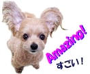 動画や静止画の編集をします 必要な所を繋ぎ合わせたり、音響や文字など入れられます。 イメージ7