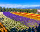 YouTubeのサムネ作成、画像の加工処理します 迅速に対応させていただきます！ イメージ3