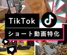 業界特化！TikTok運用をいたします 拡散 × ショート動画設計で「再生」から「集客」へ。 イメージ1
