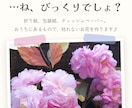 ホームページ制作｜サロン・店舗のHP作ります 現役サロン経営者が作る、予約につながるスマホ対応HP イメージ4
