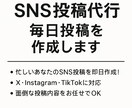 SNS投稿代行、毎日投稿を作成します 忙しいあなたのSNS投稿を即日作成 イメージ1