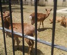 悩まれてる方のための相談提供になります 恋愛相談や話し相手がほしい人のために話を聞きます(^_^) イメージ2