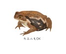 ライブ即納！1時間で生き物イラスト描きます 配信中限定出品！制作過程をリアルタイムにご覧いただけます イメージ5
