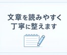 初回限定：文章を丁寧に整え読みやすくします 初回限定2,000円で丁寧に整えます イメージ1