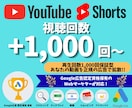 YouTubeの再生回数を1,000回伸ばします 正規のYouTube広告を使用した安心・安全のプロモーション イメージ1