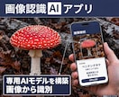 独自モデルを用いたAI画像認識アプリを開発します 独実AIモデルの構築からアプリ開発、納品まで丸ごと対応します イメージ1