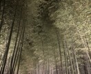 あなたにぴったりの旅行プランを考えます あなたにぴったりの旅行プランをご提供します！ イメージ1