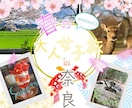 各種『広告バナー』を作成いたします 大事な一枚、"低価格で" 丁寧に制作いたします。 イメージ3