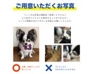 ペットのかわいいイラストを制作します アイコンやうちの子グッズに◎猫や鳥・爬虫類などもOK！ イメージ5