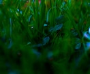 リクエスト頂ければ提供いたします 既に撮ってあるもの 欲しい素材などお渡しします イメージ3