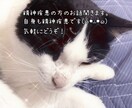 精神疾患の方の相談乗ります 自身も精神疾患です。電話が苦手な方のために。 イメージ1