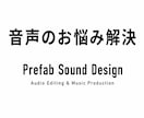 音声の整音、ノイズ除去致します 音声に関するどんなお悩みもご相談下さい！ イメージ1