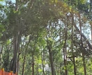 占い師・ライトワーカーなど同業者様☆相談に乗ります 練習相手、仕事の悩み、分かち合いたい話など何でもOK☆ イメージ9