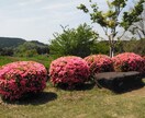 お試しで3分でもお聞きします あなたとお話できるのが楽しみです イメージ1