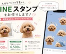 写真からペットのLINEスタンプを作成します 大切なうちの子を世界にひとつのスタンプに イメージ1