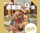 インスタの投稿画像を作成します 想いを汲み取り、伝わる投稿を丁寧に制作します イメージ9