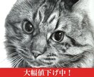 リアルな鉛筆画！ご家族、ペットの肖像画を描きます 記念日や贈り物、自分へのご褒美、インテリア等にいかがですか？ イメージ1