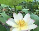私の根幹である福祉の経験を提供します 福祉の世界で生きてきた私の経験を受け取ってください。 イメージ7