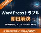 WordPressの真っ白画面やエラーを解決します セキュリティ専門家が対応・マルウェア・改ざんも即日対応可 イメージ1