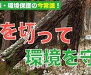 Noteのヘッダー制作承ります Illustratorを使ったヘッダーで記事をランクアップ！ イメージ2