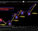 サインを待つだけ⭐︎高機能インジケーター提供します 限定5名様割引！50,000円にて販売予定のお品物 イメージ4