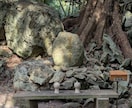 財運開花・金運の波を四神霊視で読み解き導きます 金運×波動×四神で財の巡りを整え、花咲き乱れ雲一つない未来へ イメージ3