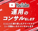 VTuber様～１ヶ月チャンネル運用コンサルします YouTube開設前の相談は3,000円～受付中！（要見積） イメージ1
