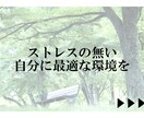 顔相診断（特典付き）あなたが何タイプか、分かります 人の顔は３タイプ！自分の顔相タイプを知らないとホント損です！ イメージ6