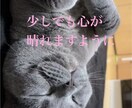 恋愛•子育て•仕事の不安や悩みなんでも相談乗ります 知らない人だから気兼ねなく話せる。心の中のゆとりになります イメージ1
