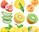 商用◎水彩で野菜・フルーツのイラストを描きます 構図から提案も可。カラーラフ修正無制限、ヒアリングが得意です イメージ10