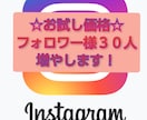 お試し♪インスタのフォロワー様３０人増やします ☆実績０から２ヶ月で１万人達成！！フォロワー様大切にします☆ イメージ1