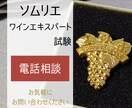 ソムリエ試験合格に向けてアドバイスいたします ワインエキスパートが合格に向けてアドバイスいたします！ イメージ1