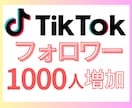 TikTokフォロワー1000人増やします 手軽にフォロワー増！アカウント強化・収益化準備に◎ イメージ1