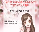 初心者向けに一から学べるexcel　vba教えます 初心者でもVBAの使い方がわかるようになるようレクチャー イメージ1